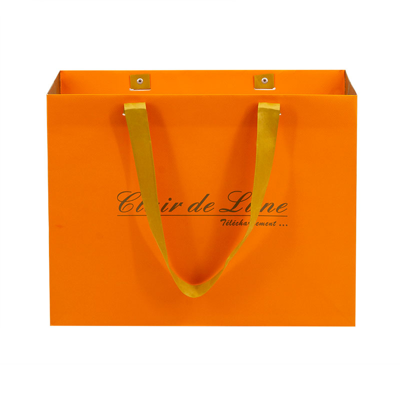 Lipack High-Quality Best Luxury Paper Bag with Handles for Shopping
