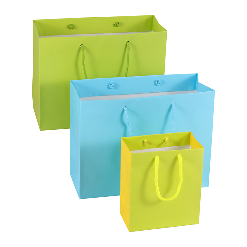 Lipack Unique Multicolor Retail Store Paper Bag for Shopping
