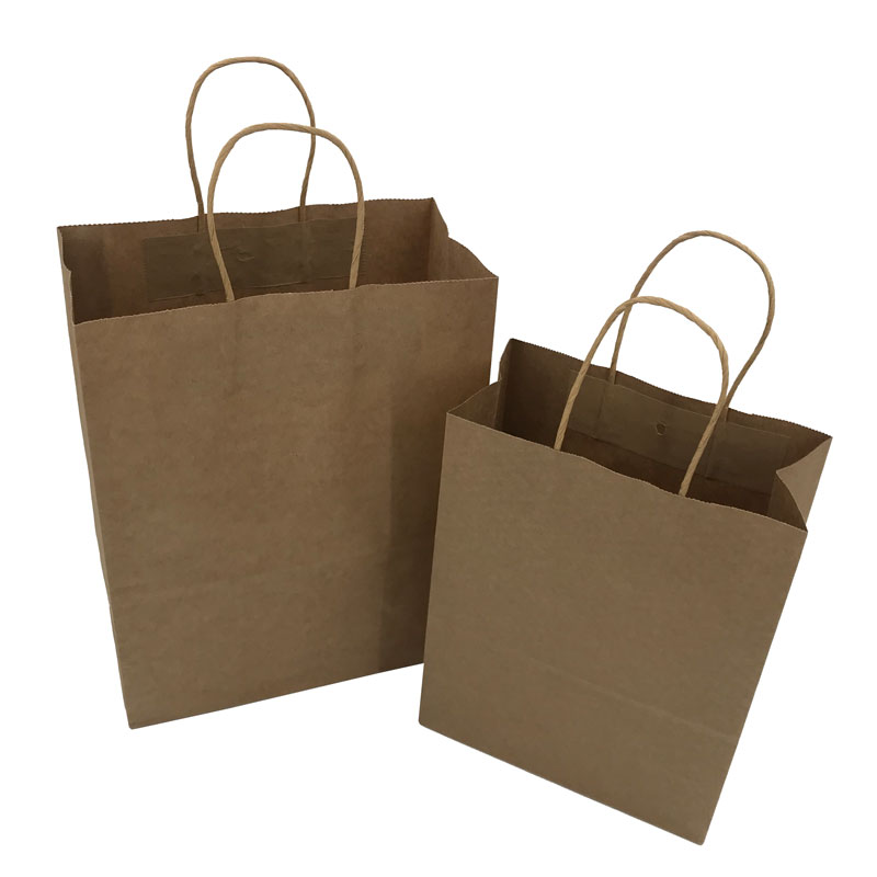 Lipack Fashion Kraft Paper Shopping Bag with Twisted Handles