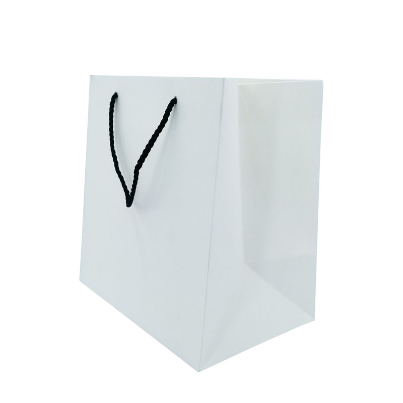 Lipack Custom Big Paper Shopping Bag with Logo Printed