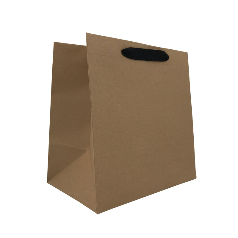 Lipack Reusable Khaki Kraft Paper Bag for Packaging