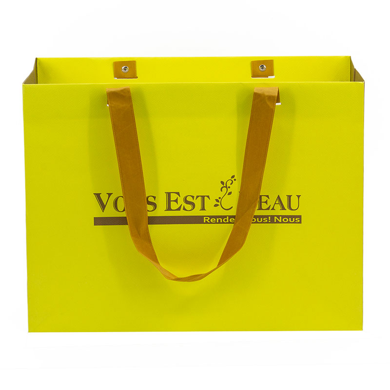 Lipack High-Quality Best Luxury Paper Bag with Handles for Shopping