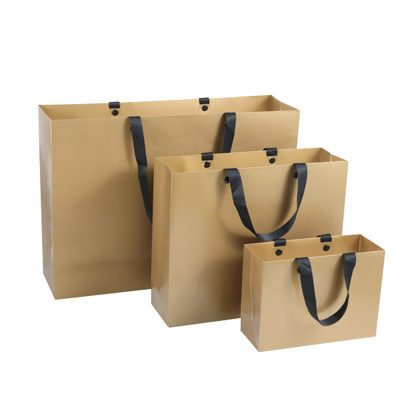 Lipack Custom Private Boutique Shoes Paper Bag with Colored for Shopping