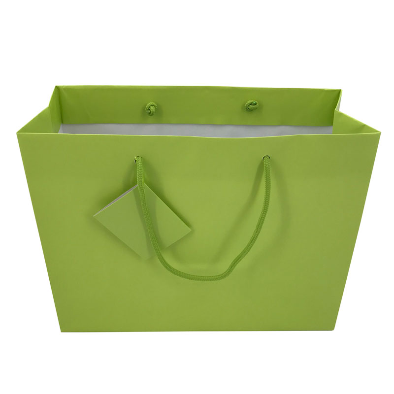 Lipack Custom Boutique Paper Shopping Bag with Logo Printed for Greeting Cards