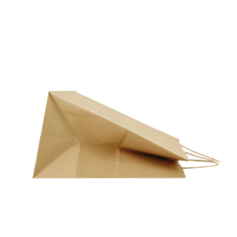 Lipack Eco-Friendly Kraft Brown Takeaway Away Paper Bag with Twist Handle