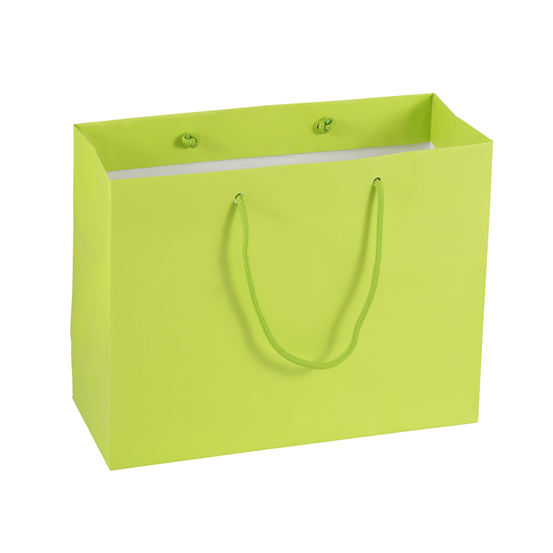 Lipack Unique Multicolor Retail Store Paper Bag for Shopping