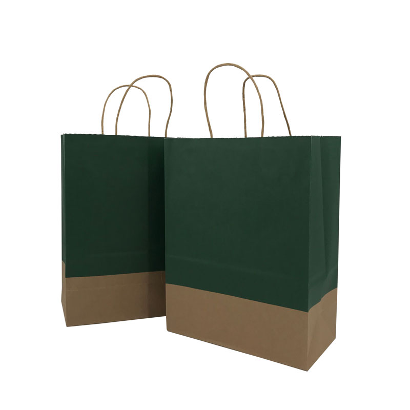 Lipack Reusable Multicolor Takeaway Away Paper Bag for Shopping with Handle
